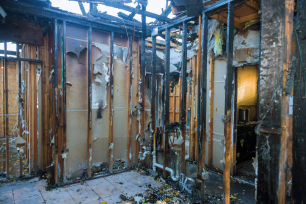 Professional Fire Damage Removal technician working in Jessup, MD